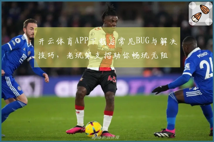 开云体育APP下载后常见BUG与解决技巧，老玩家支招助你畅玩无阻